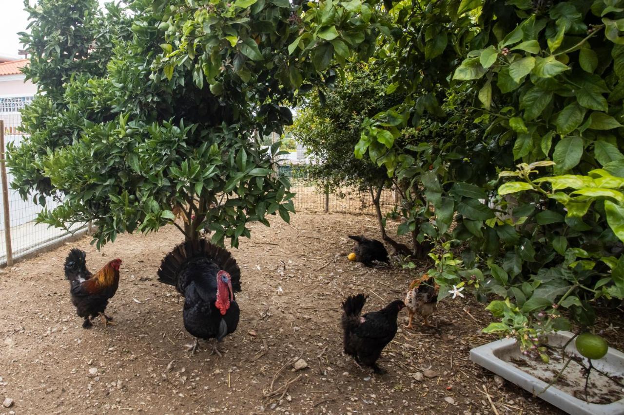 Vivenda Esgravina Βίλα Σεσίμπρα Εξωτερικό φωτογραφία